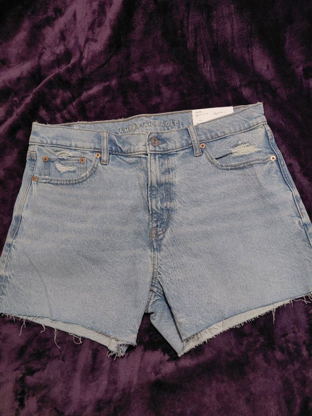 NWT American Eagle Ex-Boyfriend Distressed Denim Shorts Size 8 29W
